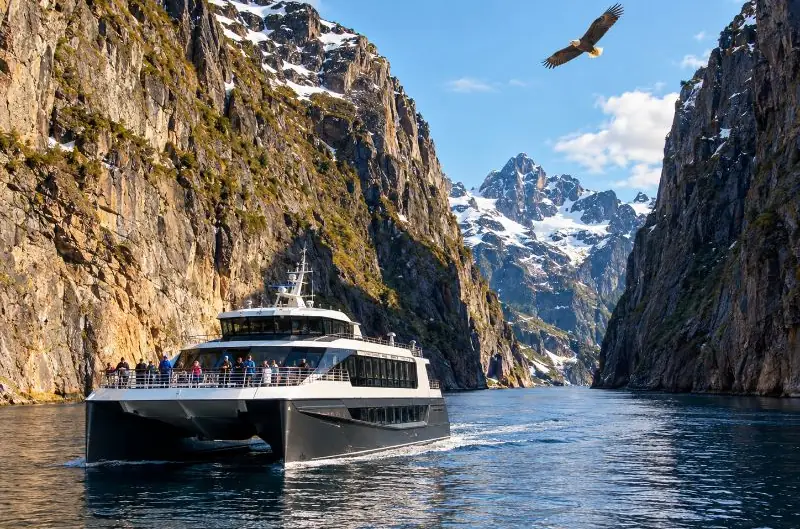 Crociera silenziosa nel Trollfjord da Svolvær